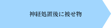 詰め物画像
